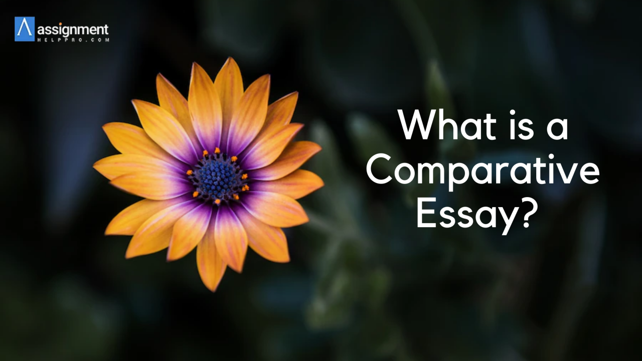 AssignmentHelpPro — What is a Comparative Essay? Layout