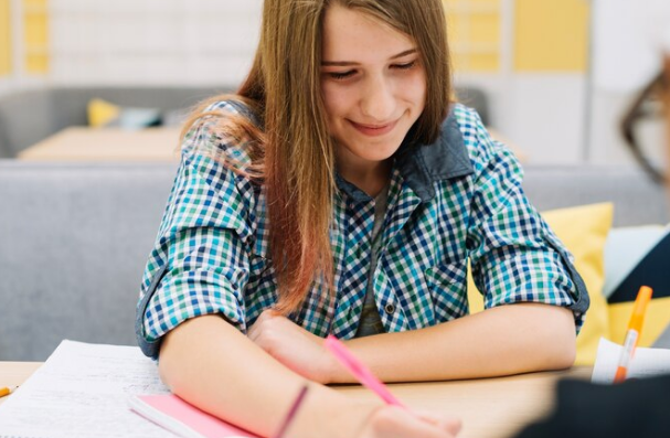 Why Do Learners Require Business Law Assignment Assistance?