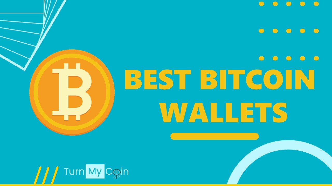 6 BEST BITCOIN WALLETS a beginner should know about!!!!