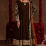 Pakistani Plus Size Dresses